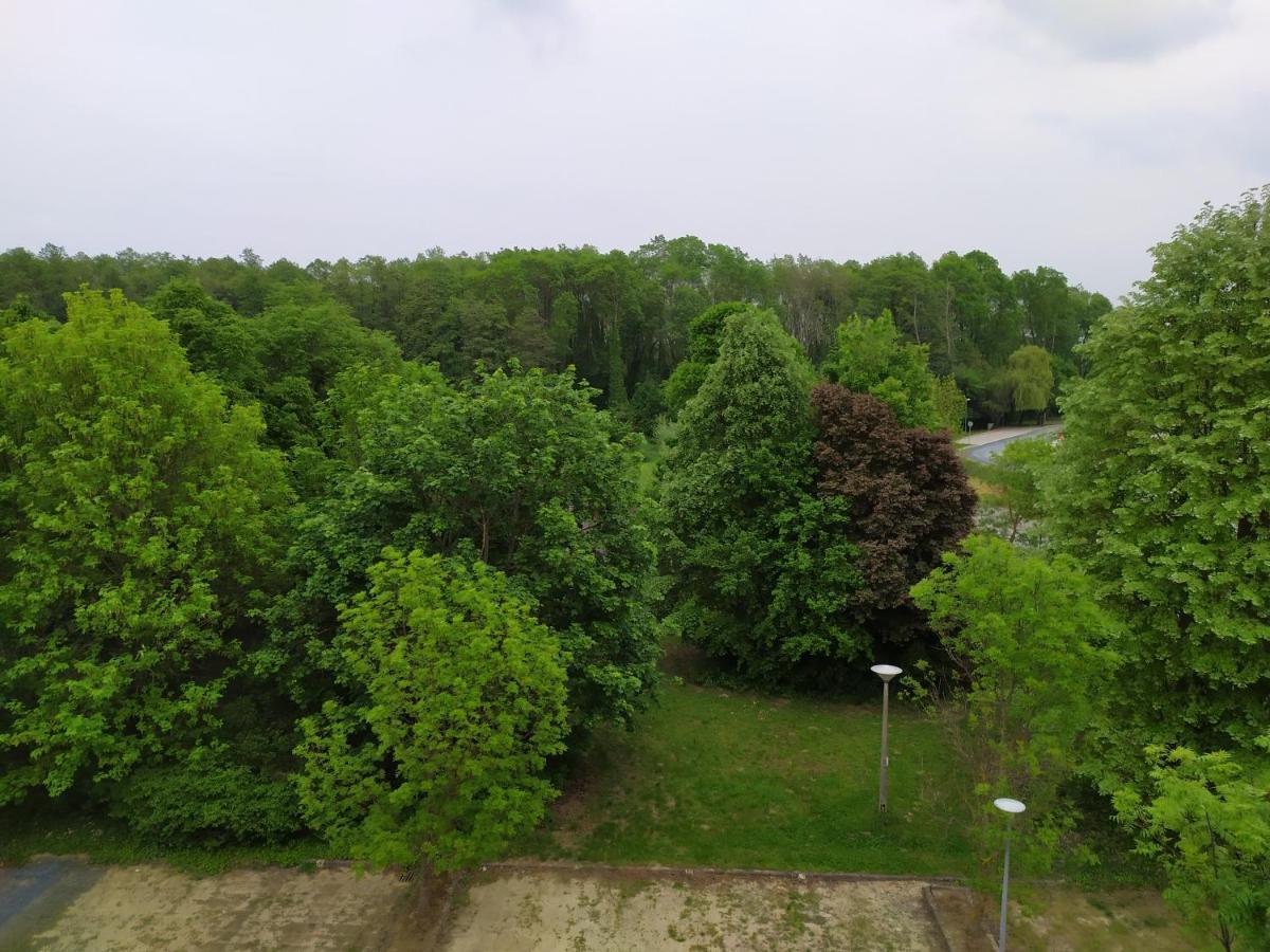 Sweet Apartman Zalakaros Luaran gambar